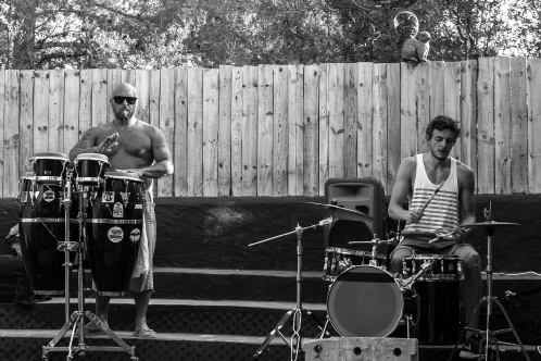 Zoo Project in Ibiza